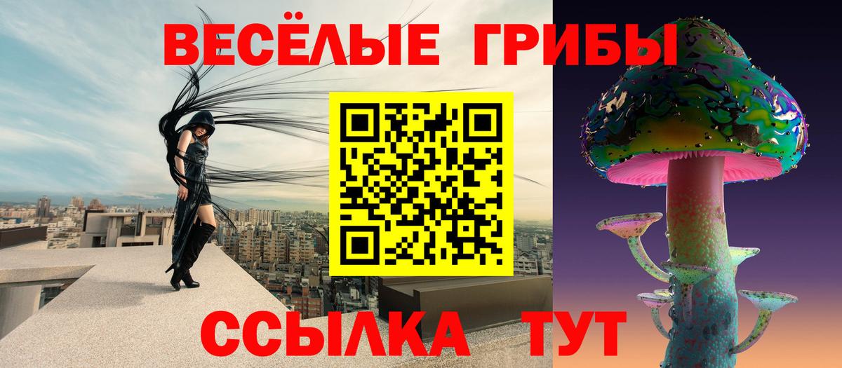 Псилоцибиновые грибы Psilocybine cubensis  Вход с VPN  Острогожск 